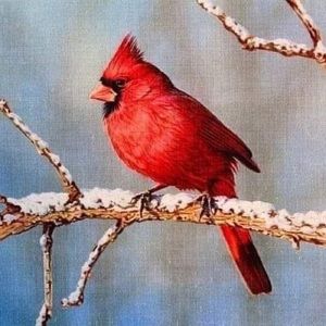 Meet your Posher, Cathy